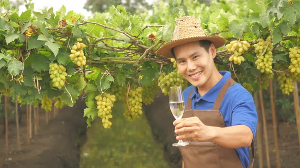 Happy young farmer holding glass of wine on vineyard background