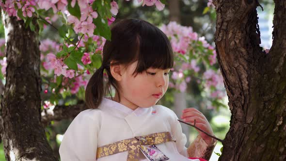 Korean Girl Child in a National Costume Sit on Tree Branch in a Garden with Cherry Blossoms in