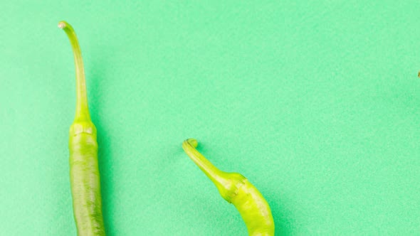 Hot Green Pepper Lies on a Pastel Green Background