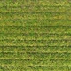 Aerial View Of Farm - VideoHive Item for Sale