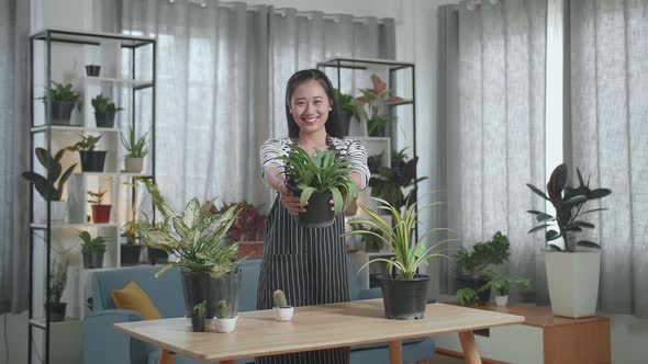 Smiling Asian Woman Holding And Showing The Plant To Camera At Home