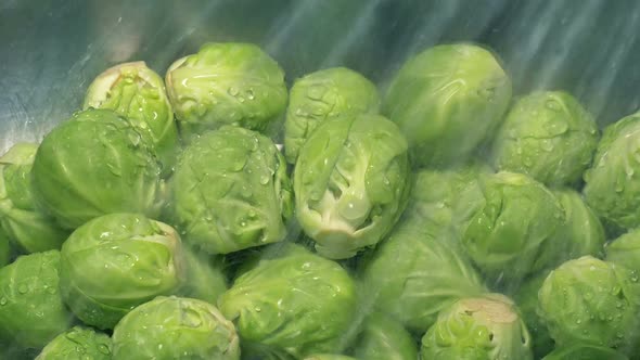 Brussels Sprouts Get Washed In Sink