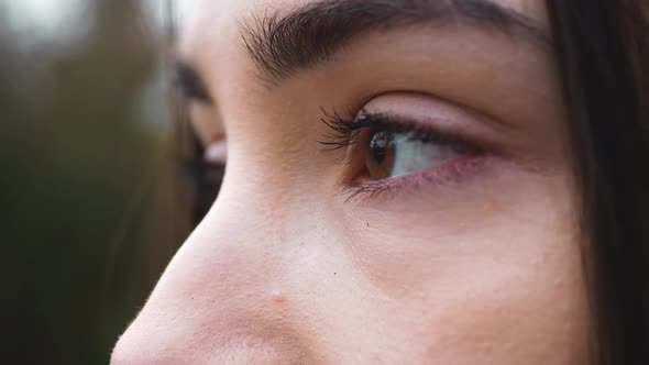 Close up on eyes. Close up portrait of beautiful woman