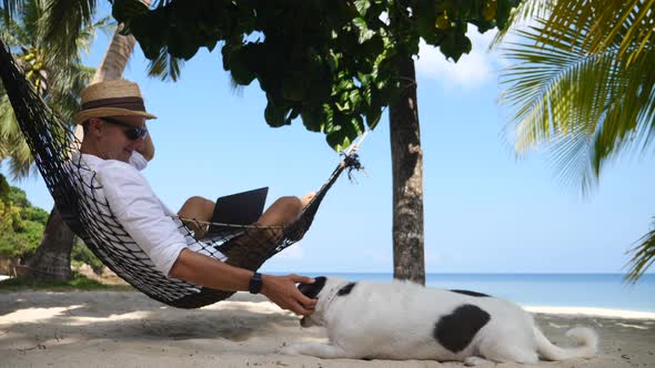 Young Man Working With Laptop In Hammock And Petting His Dog On Beach