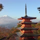 Beautiful nature in Kawaguchiko with Mountain Fuji in Japan - VideoHive Item for Sale