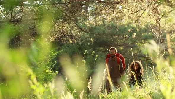 Happy Hikers Walk Through The Park.