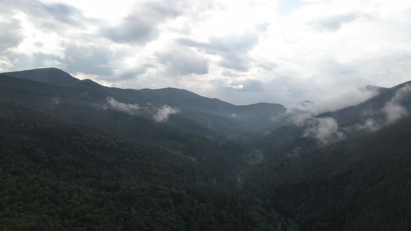 Flying over a valley covered by pine forest and low hanging clouds on a overcast day