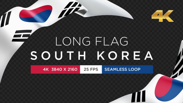 Long Flag South Korea