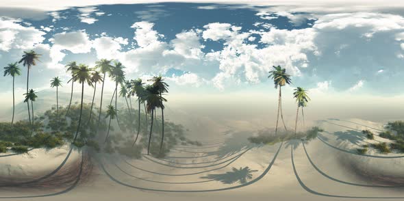 Vr 360 Panorama of Palms in Desert at Sunset alt