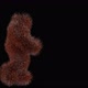 Hairy Man Dancing 2 - VideoHive Item for Sale