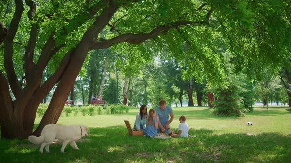 Young Family Resting with Dog in Shadow on Weekend