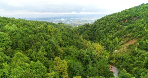 Green forest and a city in the distance.