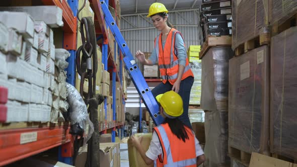 Two female warehouse workers Helping to lift things up and down from the storage shelves