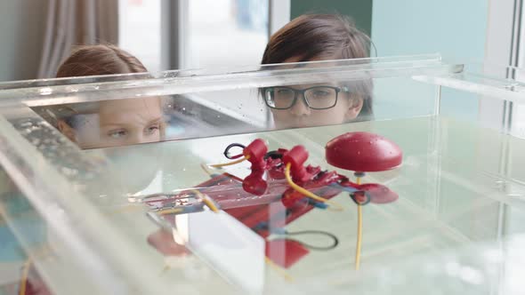 Two Kids Looking at Robo Boat Floating in Water