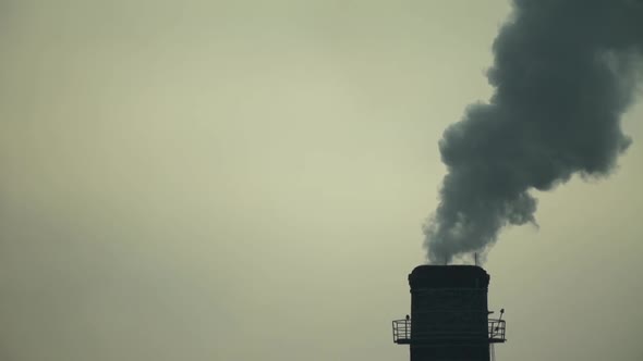 Smoke Comes From the Chimney. Air Pollution. Slow Motion. Ecology. Kyiv. Ukraine