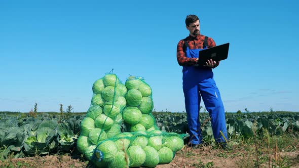 Agrotechnician Is Standing with a Laptop Near Bags with Cabbage