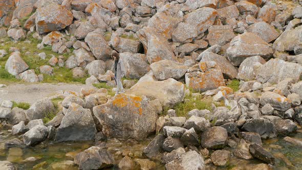 Girl is standing on a granite stones Summer Baikal lake Olkhon island