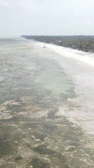 Vertical Video of Low Tide in the Ocean Near the Coast of Zanzibar Tanzania