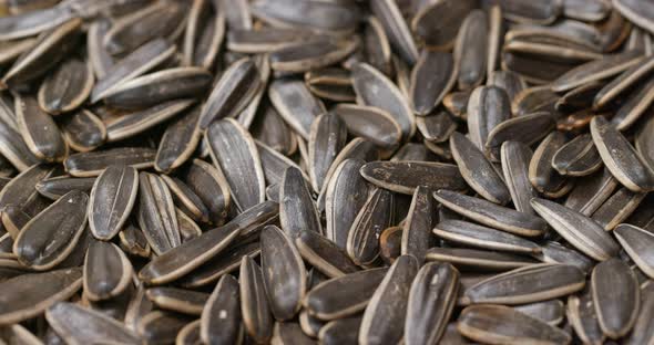 Spinning of Sunflower seeds