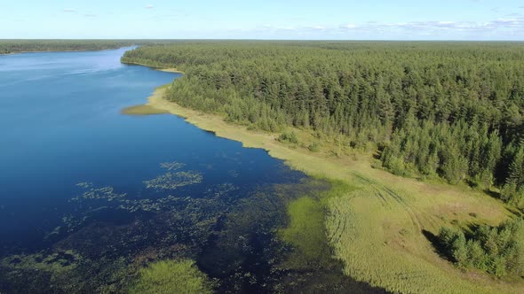 Flight Over the Taiga Forest Lake