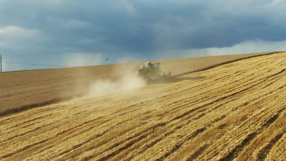 Steamy Tractor Harvesting Wheat in Field