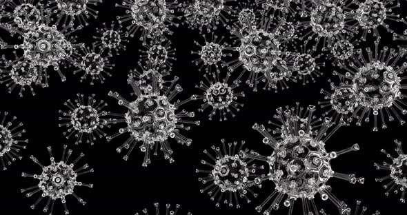 Glass Coronavirus on Black alt