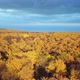 Autumn Forest Nature - VideoHive Item for Sale