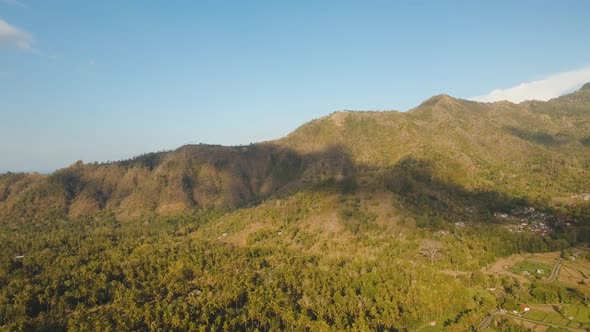 View Mountain Forest Landscape