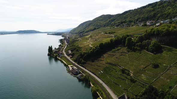 aerial view of countryside in switzerland, vineyard and lake split by a road