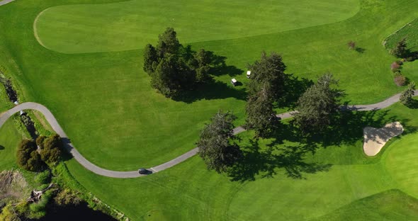 Aerial shot of golf carts meandering through the green searching for their balls.