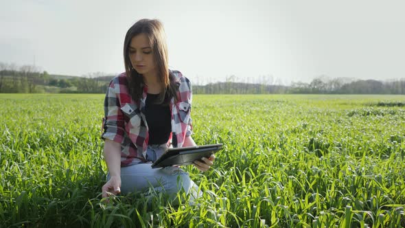 Female Young Modern Farmer Using Digital Tablet on Wheat Field