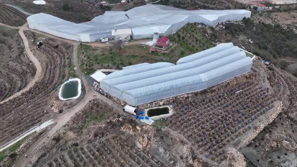 Banana greenhouse aerial view