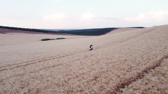 Aerial view of two friends enjoying nature while they walk through a wheat field together.