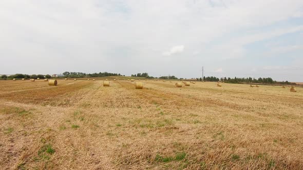 Field with haystacks, steadicam shooting