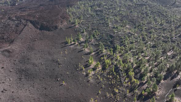 Drone Aerial of the Peak of a Volcanic Mountain in a National Nature Park Rocky Rough Beautiful