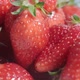 Ripe fresh strawberries close up.  Organic ripe strawberry. Concept of hygiene, diet and healthy - VideoHive Item for Sale