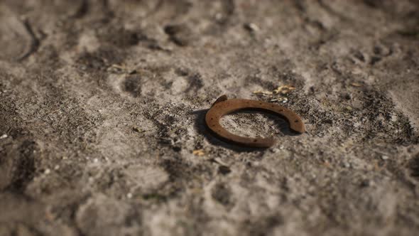 One Old Rusty Metal Horseshoe