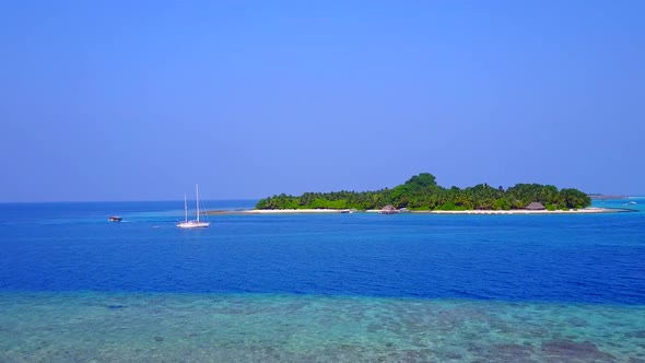 Aerial texture of coastline beach wildlife by lagoon and sand background