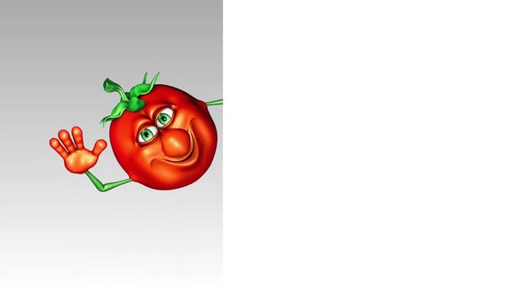 Tomato Promotion Ads  Looped 3D Animation