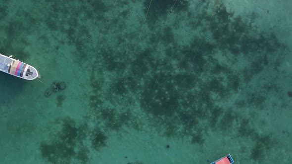 Vertical Video of the Ocean Near the Coast of Zanzibar Tanzania Aerial View