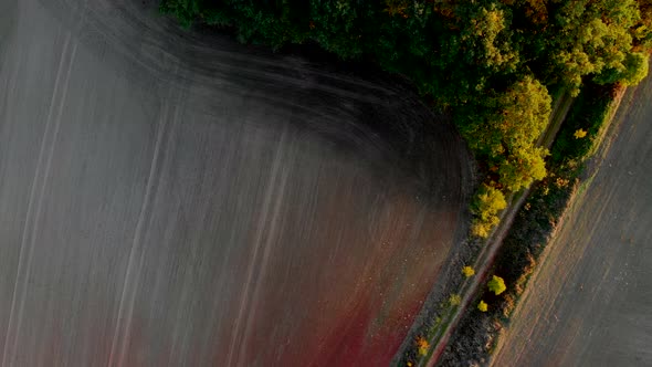 Top down view of farmland in the light of the setting sun.