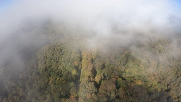 Sabaduri Mountain. Autumn forest. Georgia