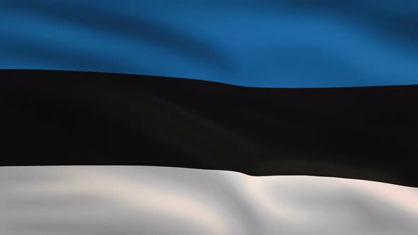 Estonia Windy Flag Background 4 K