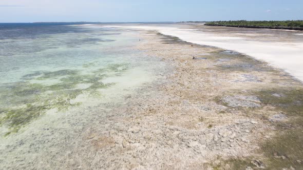 Shore of Zanzibar Island Tanzania at Low Tide