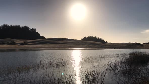 Oregon Dunes National Recreation area near Reedsport and Winchester Bay, and off Highway 101, is a p