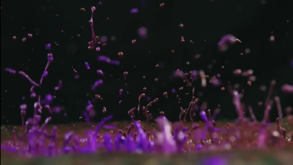 Macro shot of purple, pink and brown paint splashing, affected by intense vibration. Black backgroun