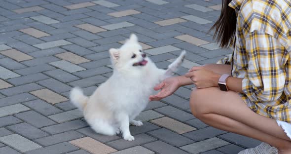 Woman play with her dog at outdoor