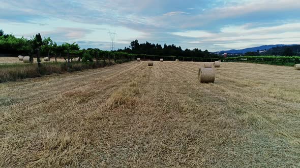 Hay Bales and Field