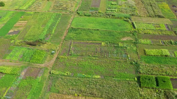Aerial View Planted Gardens In Nature