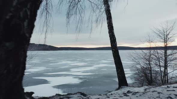 Aerial view of frozen lake surrounded by deep mixed forest